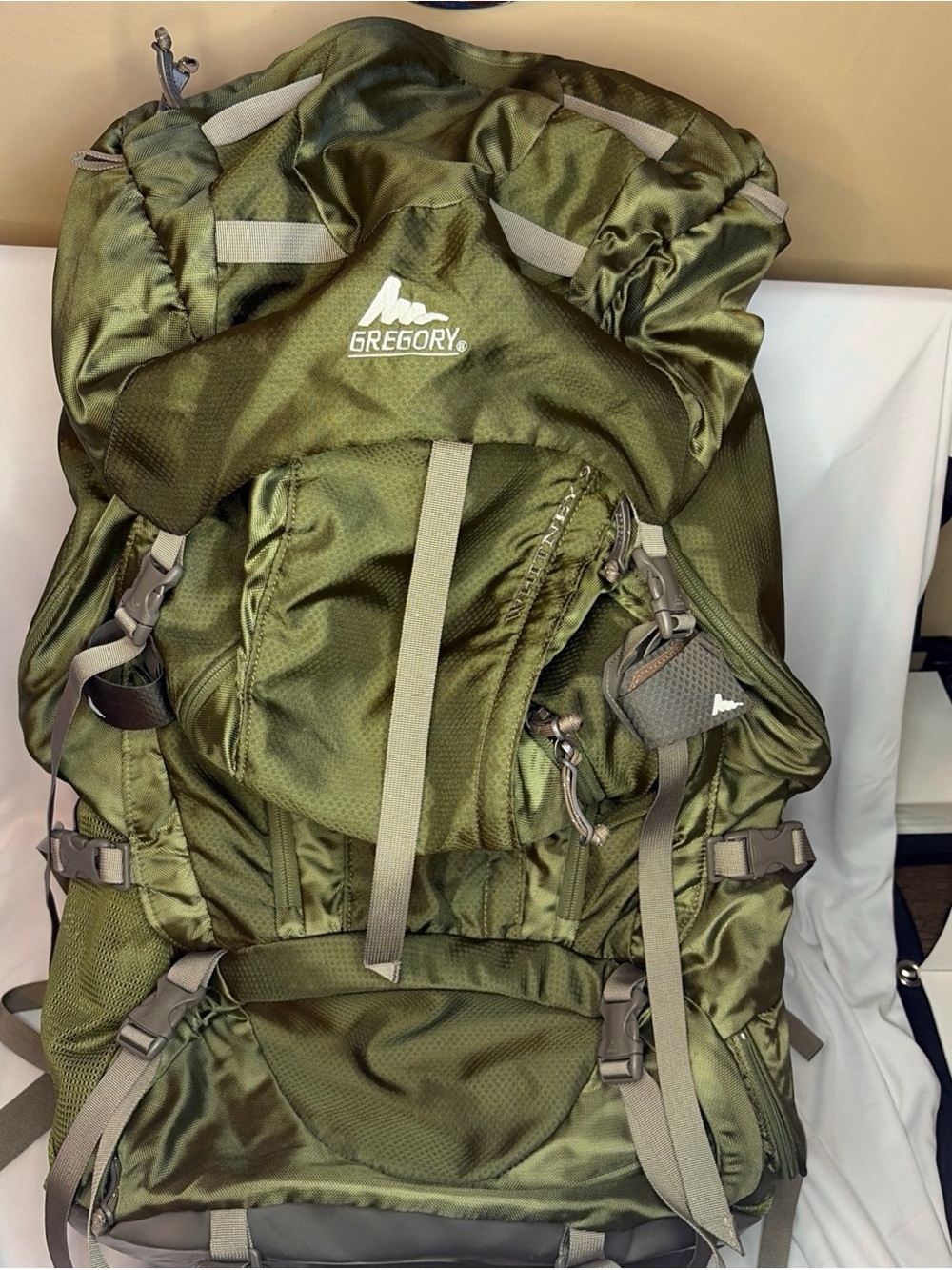 Gregory Whitney 95 Green Hiking 90L Backpack Whitney Rig Outdoors Waistbelt